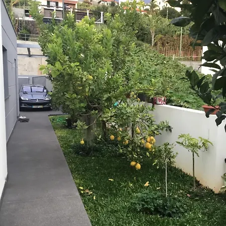 White Câmara de Lobos