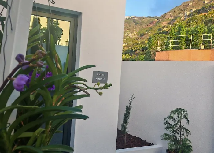 White Câmara de Lobos