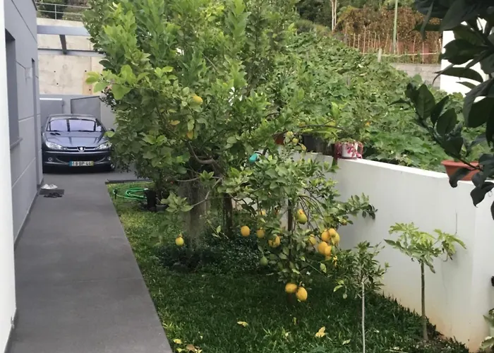 White Câmara de Lobos